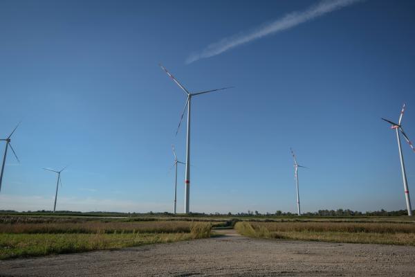 Veterný park - ilustračné fotografia
