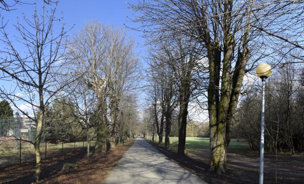 Veľký park