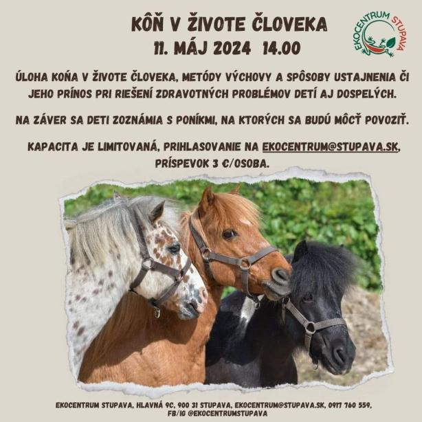 Kôň v živote človeka