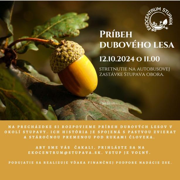 príbeh dubového lesa