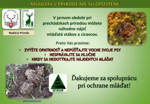 MLÁĎATÁ NIE SÚ OPUSTENÉ
