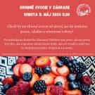 Ovocie od jari do jesene