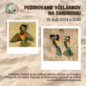 Pozorovanie včelárikov