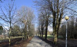 Veľký park