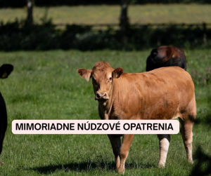 ilustračná foto
