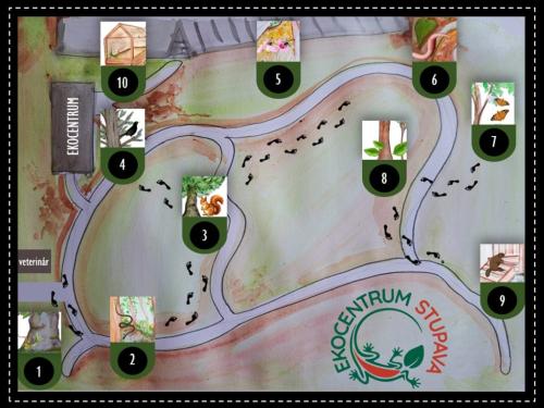 Pátracia hra s jaštericou Icou