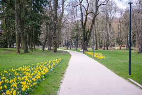 Od soboty 18. apríla 2026 bude Kaštieľsky park v Stupave opäť sprístupnený verejnosti.