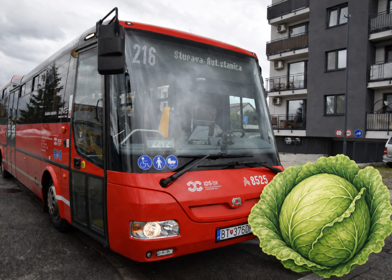 Ilustračná fotka DNI ZELÁ_autobus 