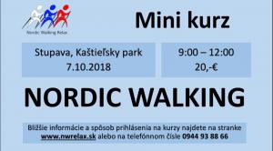 MINI KURZ NORDIC WALKING