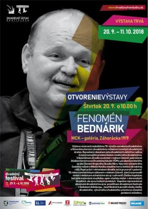 VÝSTAVA FENOMÉN BEDNÁRIK