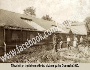 POZNÁTE STUPAVU? POMARANČE A CITRÓNY SME MALI UŽ V 18. STOROČÍ!
