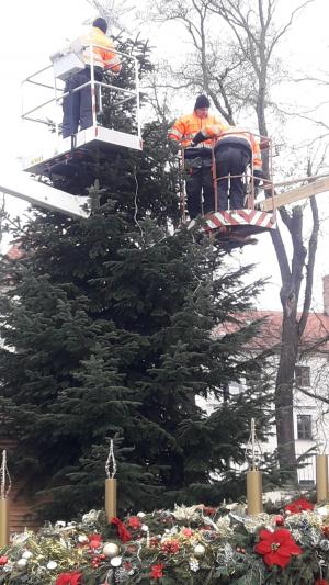 STUPAVSKÉ BLESKOVKY 49