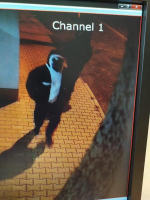 SPOZNÁVATE PÁCHATEĽOV LÚPEŽNÉHO PREPADNUTIA V STUPAVE?