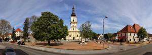 PROJEKT VÝSADBY A REVITALIZÁCIE ZELENE V CENTRE STUPAVY JE UKONČENÝ 1